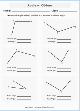  angle properties geometry math worksheets for primary math class 